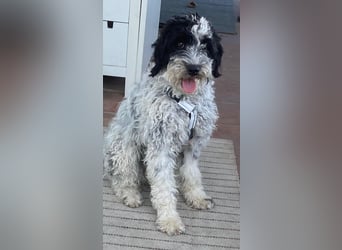 Lillith wünscht sich eine eigene Familie