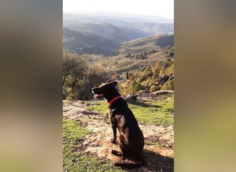 Aria ist ein Rohdiamant