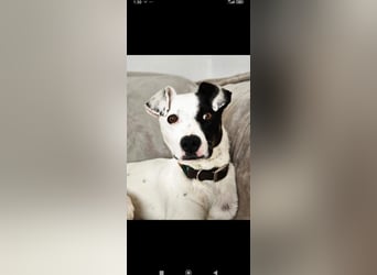 Ronja freut sich auf Deinen Besuch