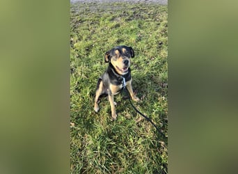 Zako sucht sein Für-Immer-Zuhause ❤️