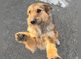 Peaches ❤️ wartet in 51143 Köln
