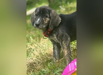 Mandy wartet auf Dich!