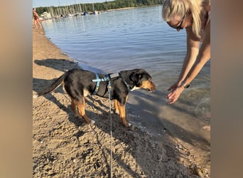 Beppi der wundervollste Schatz