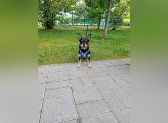 Verspielte Julietta sucht ihre Menschen
