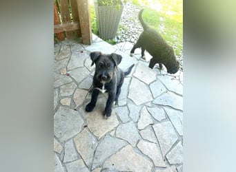 Eléa – Kleine Entdeckerin mit großem Herz sucht Zuhause