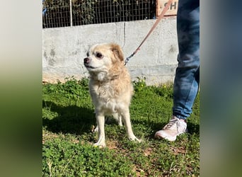 Omi Zorina sucht Endstelle!