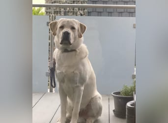 Der hübsche Marlon sucht ein neues Zuhause