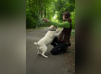 Berni auf der Suche nach ihren Menschen