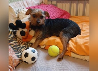 Molly S261 ist zuckersüß und sanft