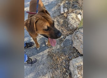 FILOS sucht ein Zuhause