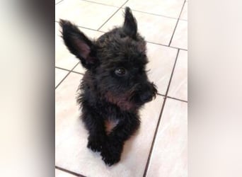 Update Lara: reserviert