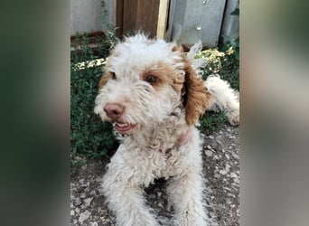 MINA - liebes Mädchen will nach vorne schauen!