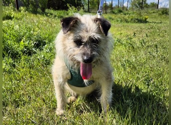 Clark sucht ein neues Zuhause