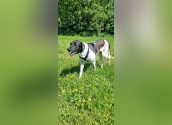 Nina sucht ihre Herzensmenschen