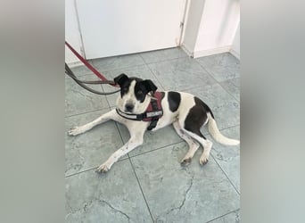 Hübsche Iris sucht liebe Familie