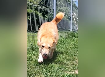 Zobie möchte endlich ankommen