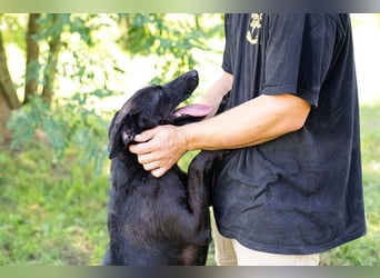 Gonza – Bewegungs-Fan sucht Nähe