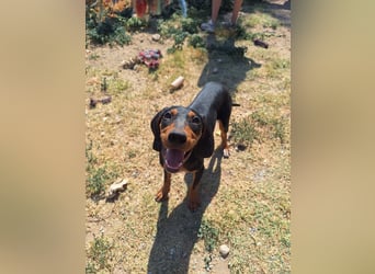 Frohnatur Marley