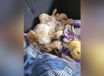 Ivy freut sich auf Deinen Besuch
