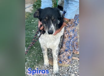Spiros, 01/23 - freundlich und lernwillig