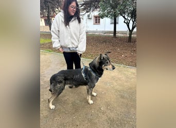 LOBITO