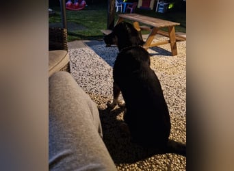 Jerry ist mein Name – und warte in PLZ 69509 auf Besuch von DIR