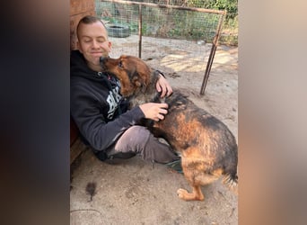 Mega verschmuste Seniorin Nikita