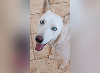 Perla: Sportskanone und Kuschelmaus