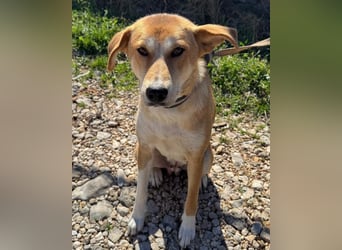 Zara ❤️ will endlich Liebe+Nähe spüren