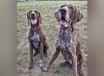 Gracie und Grando