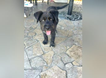 Eléa – Kleine Entdeckerin mit großem Herz sucht Zuhause