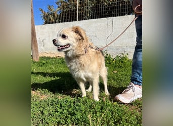 Omi Zorina sucht Endstelle!