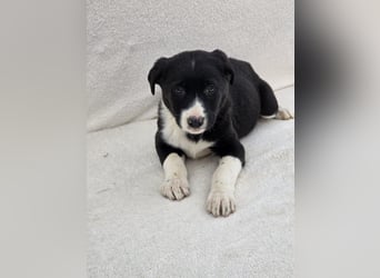 Nina, eine von 7 wundervollen Zwergen