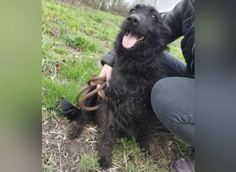 Merida eine wundervolle Seele