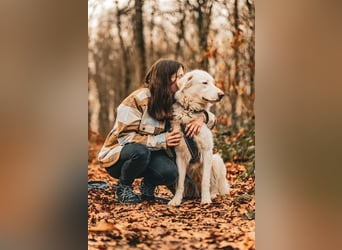 Erna wartet in Tierpension Tannenhof 54597 Wallersheim