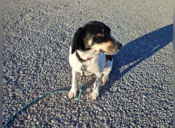 Benny sucht seine aktiven Menschen