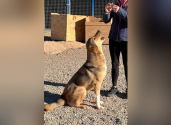 Aloma – deine neue beste Freundin sucht dich! (15859 Storkow (Mark)