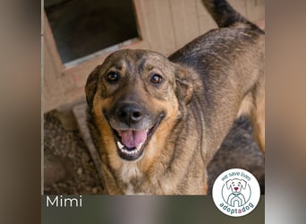 Mimi: Mit einem Lächeln ins Glück