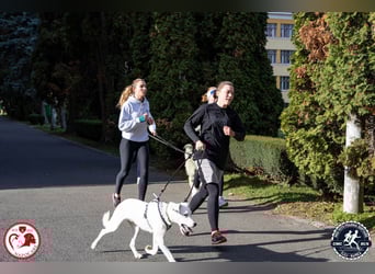 Schüchterner Lucas sucht einfühlsame Familie