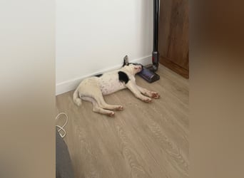 ❤️ KIKA ❤️