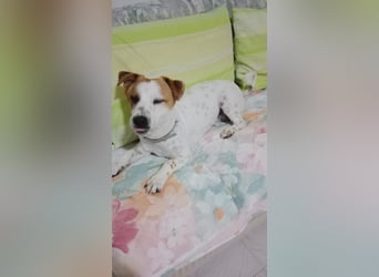 Romeo möchte ankommen