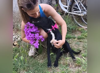 Lola sucht aktive Familie