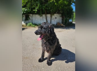 Ein neues Glück für Senior OTTO