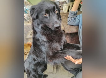 Sanfter Engel CLEO wartet auf Dich
