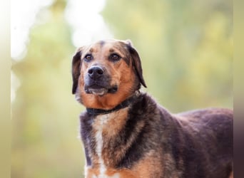 Elsa sucht ihre Familie
