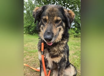 Morti sucht ein neues Zuhause
