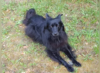 zauberhafte Zaira