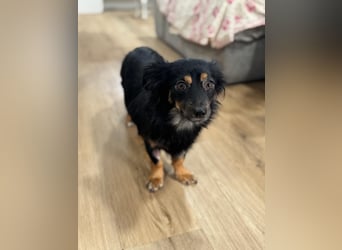 Isabel, sucht ihre Familie