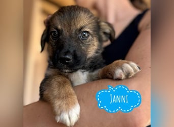 Janni ein kleiner Engelchen
