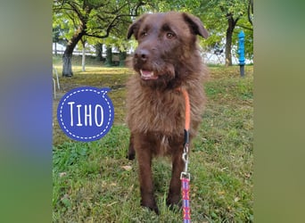 Tiho hofft auf eine Familie
